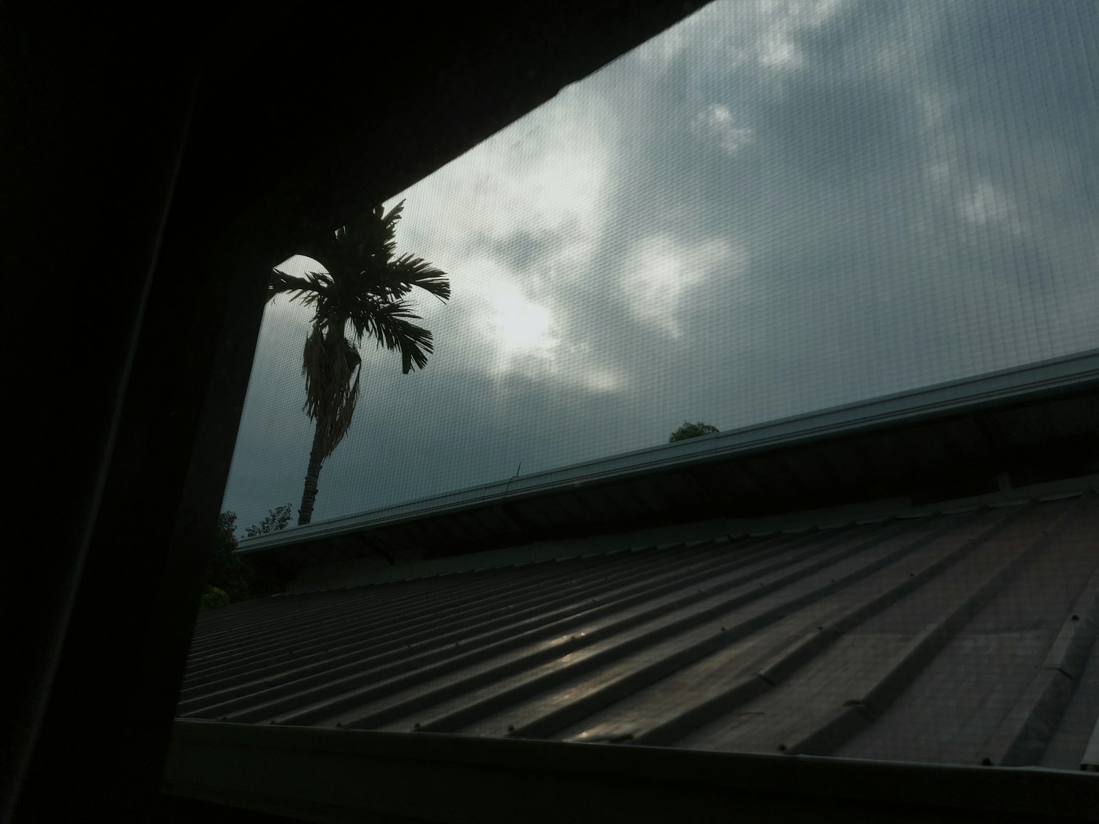 How to Create a Hurricane Preparedness Plan That Aligns With Your Insurance Coverage